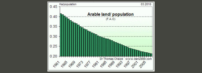 global arable land per capita